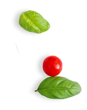 Merkez Lokantası Kaynaşlı